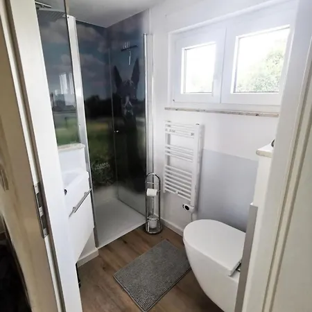 Tiny House Im Alpakaparadies, Auszeit In Der Heiligenstadt