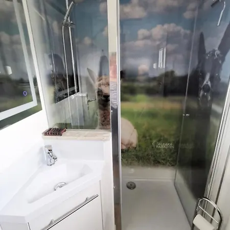Tiny House Im Alpakaparadies, Auszeit In Der Appartement Heiligenstadt